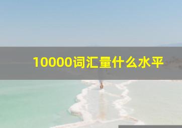 10000词汇量什么水平