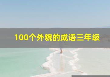 100个外貌的成语三年级