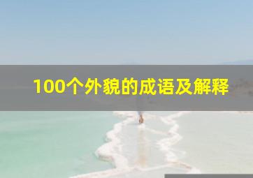 100个外貌的成语及解释