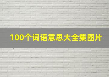 100个词语意思大全集图片