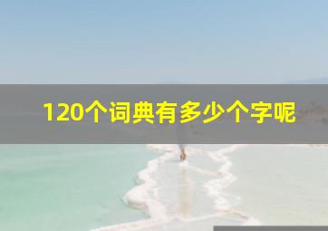 120个词典有多少个字呢