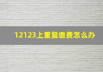 12123上重复缴费怎么办