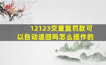 12123交重复罚款可以自动退回吗怎么操作的