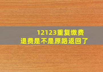 12123重复缴费退费是不是原路返回了