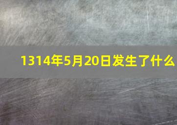 1314年5月20日发生了什么