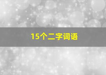 15个二字词语