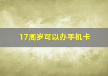 17周岁可以办手机卡