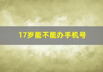 17岁能不能办手机号