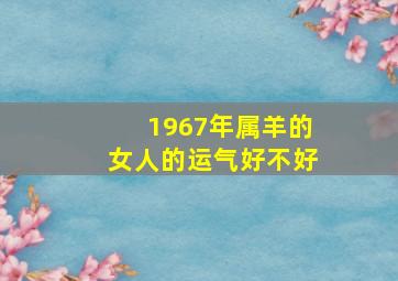 1967年属羊的女人的运气好不好