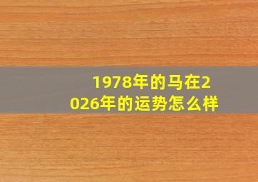 1978年的马在2026年的运势怎么样