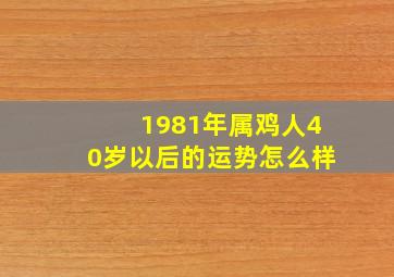 1981年属鸡人40岁以后的运势怎么样