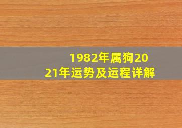 1982年属狗2021年运势及运程详解