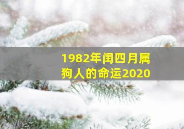 1982年闰四月属狗人的命运2020