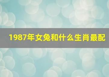 1987年女兔和什么生肖最配