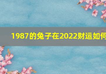 1987的兔子在2022财运如何