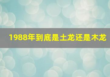 1988年到底是土龙还是木龙