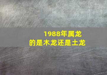 1988年属龙的是木龙还是土龙