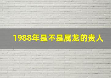 1988年是不是属龙的贵人