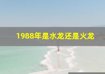 1988年是水龙还是火龙