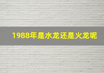 1988年是水龙还是火龙呢