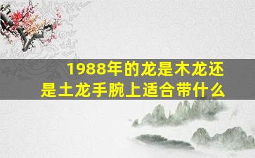 1988年的龙是木龙还是土龙手腕上适合带什么