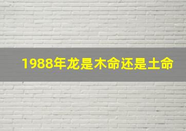 1988年龙是木命还是土命