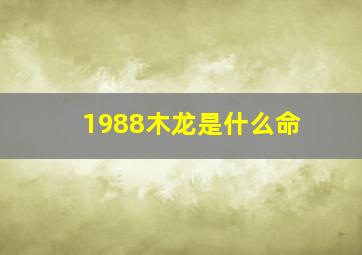 1988木龙是什么命