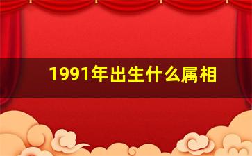 1991年出生什么属相