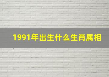 1991年出生什么生肖属相