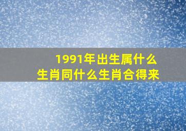 1991年出生属什么生肖同什么生肖合得来