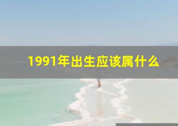 1991年出生应该属什么