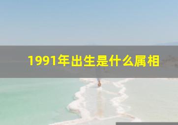 1991年出生是什么属相