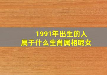 1991年出生的人属于什么生肖属相呢女