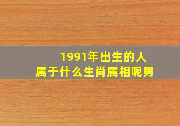 1991年出生的人属于什么生肖属相呢男