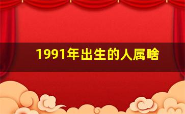 1991年出生的人属啥