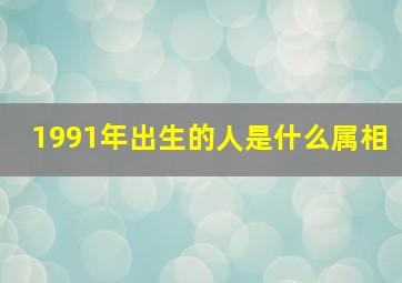 1991年出生的人是什么属相