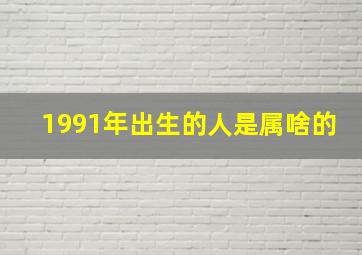 1991年出生的人是属啥的