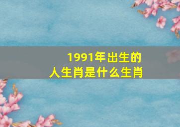 1991年出生的人生肖是什么生肖