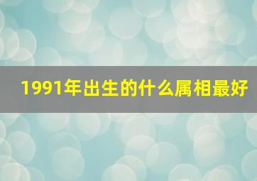 1991年出生的什么属相最好