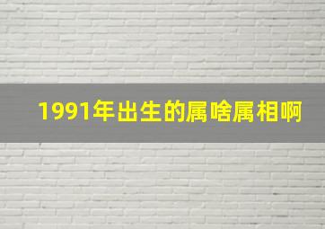 1991年出生的属啥属相啊