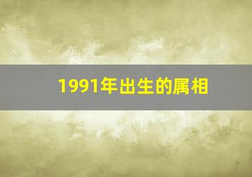 1991年出生的属相