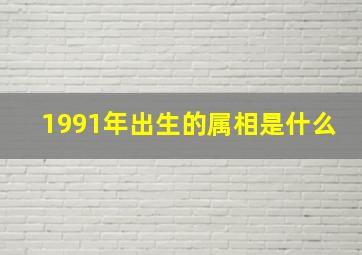 1991年出生的属相是什么