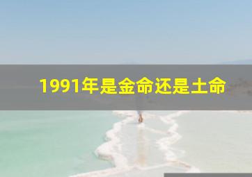 1991年是金命还是土命