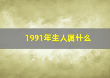 1991年生人属什么