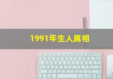 1991年生人属相