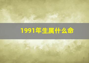 1991年生属什么命