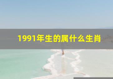 1991年生的属什么生肖