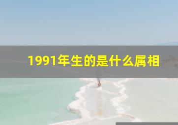 1991年生的是什么属相