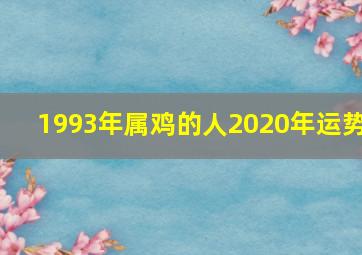 1993年属鸡的人2020年运势