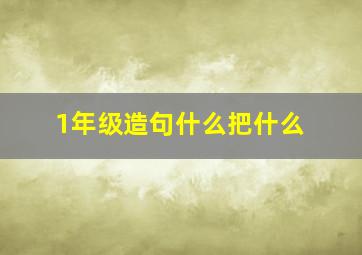 1年级造句什么把什么